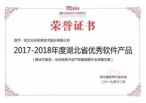 光谷信息2017 聚前行，梦远航——信息系统集成服务的新篇章